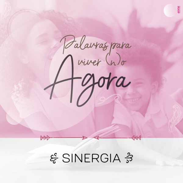 PALAVRAS PARA VIVER O AGORA: SINERGIA